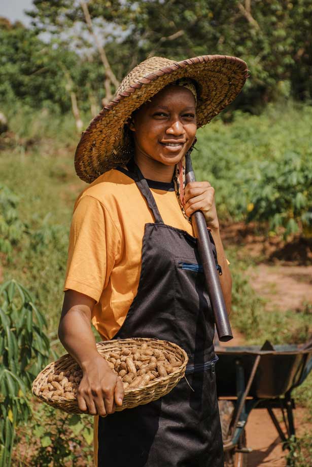 National%20Union%20for%20Small%20Scale%20Farmers%20(NUSFAZ)